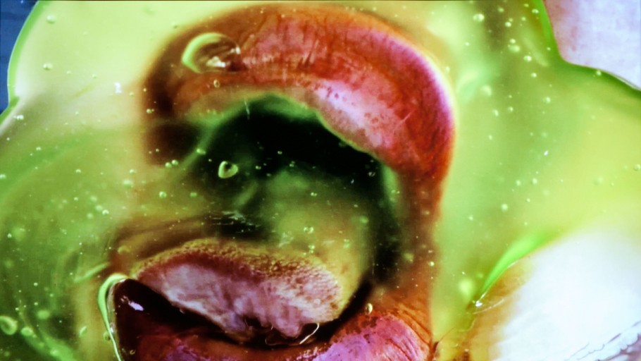 Marilyn Minter (American, b. 1948). Still from Green Pink Caviar, 2009. HD digital video, 7 min., 45 sec. Courtesy of the artist, Salon 94, New York, and Regen Projects, Los Angeles